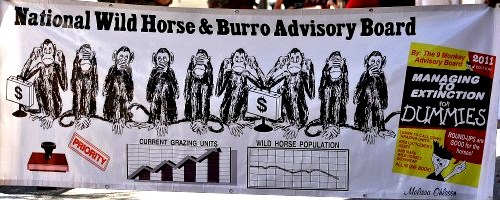 Banner from America’s Wild Horse Advocates (AWHA) with Melissa Ohlsson, Vice President of AWHA as artist