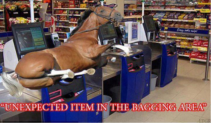 unexpected_horse_in_bagging_area_horseme
