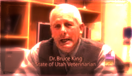 Dr Bruce King