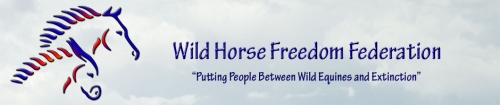 Wild-Horse-Freedom-Federation