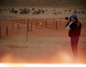 Terry Fitch of Wild Horse Freedom Federation at Palomino Valley