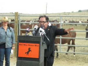 Rep. Raul Grijalva, D-Ariz., talks to reporters after touring a U.S. Bureau of Land Management corral holding more than 1,000 wild horses recently rounded up on federal land, Wednesday, Sept. 4, 2013, in Palomino, Nev. Grijalva said he wants to work with BLM managers to overcome decades of mismanagement of the horses and fix outdated roundup policies he says prioritize livestock over mustangs. . Photo: Scott Sonner
