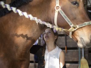 Ava Exelbirt brushes one of the remaining horses at Masterpiece Equestrian Center in Davie, Fla. ~ (Photo: J Pat Carter)