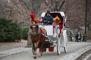Mayor de Blasio had vowed to ban the horse carriages in Central Park on “day one” of his mayoralty. - SHANNON STAPLETON/Reuters